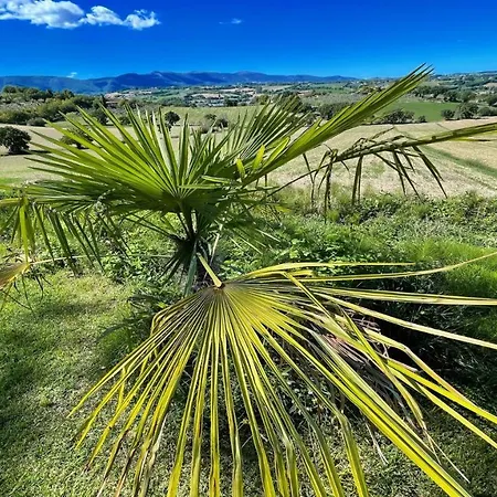 Spoleto Poolside-apt 2spoleto Centre 07 Kmssleeps 4wifiaircon * Colle Umberto (Umbria)